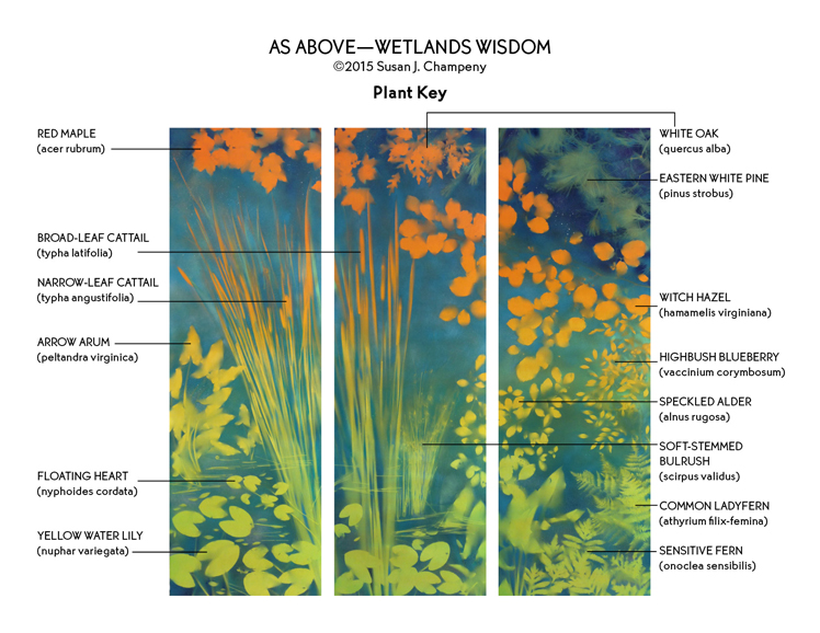 PLANT KEY GRAPHIC